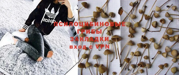 соль курить ск Алексеевка