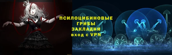 соль курить ск Алексеевка