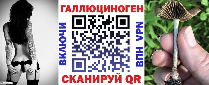 закладки  Анива  Псилоцибиновые грибы мухоморы 